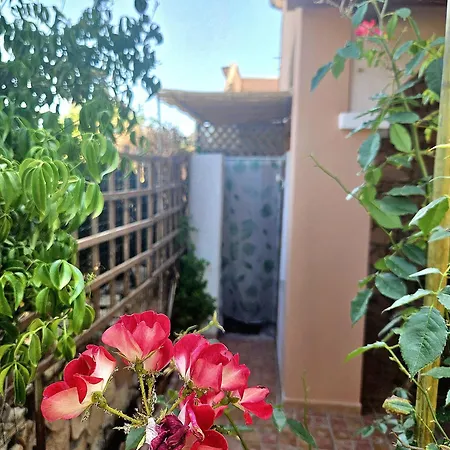 Domo Diana Ferienhaus *