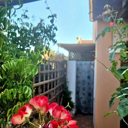 Domo Diana San Teodoro (Sardinia)