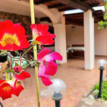 Domo Diana San Teodoro (Sardinia)