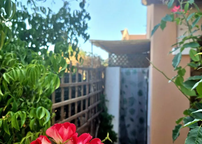 Domo Diana San Teodoro